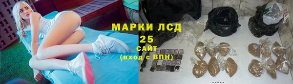 эйфоретик Верея